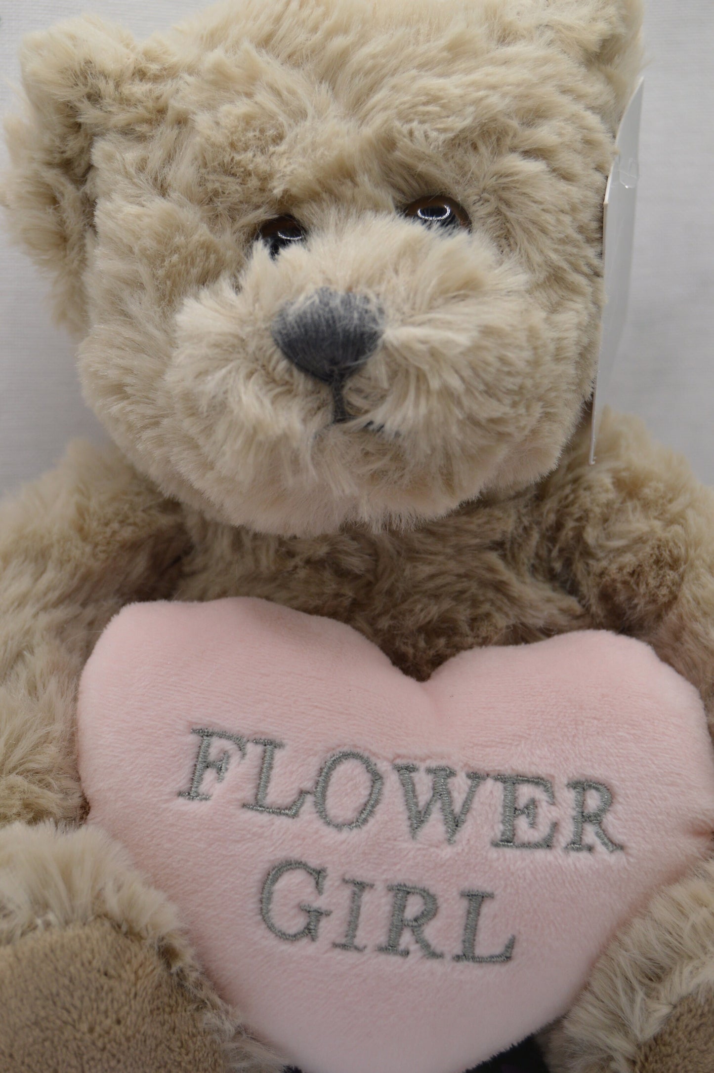 Plush Teddy Bear Holding a Heart, Flower Girl, Page Boy Bear, Pink and Blue Heart